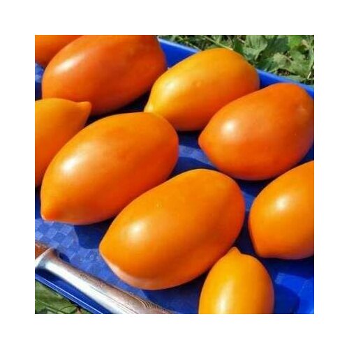 ������ ������ ������������� ������ ������ ������� ���������� ����