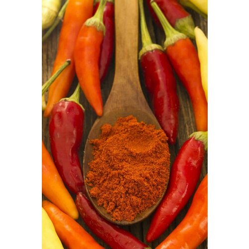 ������ ������ ������������� ������ ����� �������� ���������� ������� ������ ����