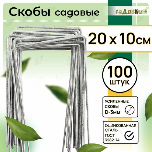 ������ ������ ����� ������� �-�����, ������ 20�� � 10��, d-3��, (100 ��) ����