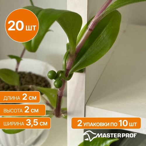 ������ ������ ������ ������������� ��� ��������� ��������, 20 ��. ����