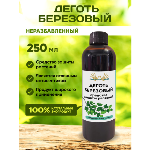 ������ ������ ������ ���������. ������ �� ��������� 250 �� ����