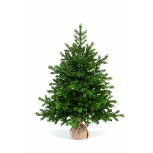 ������ ������ ��� ������������� ���� ���� ������� �������, 90 �� ����