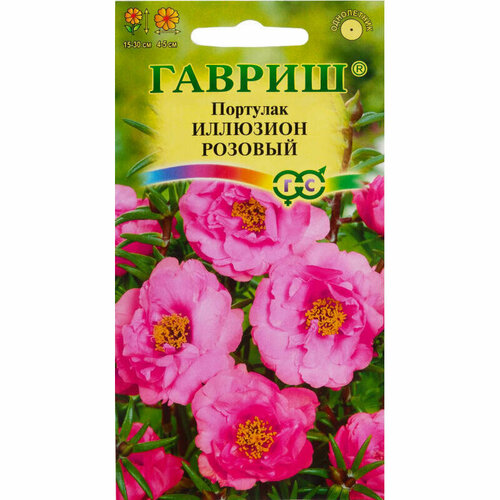 ������ ������ ������. �������� 