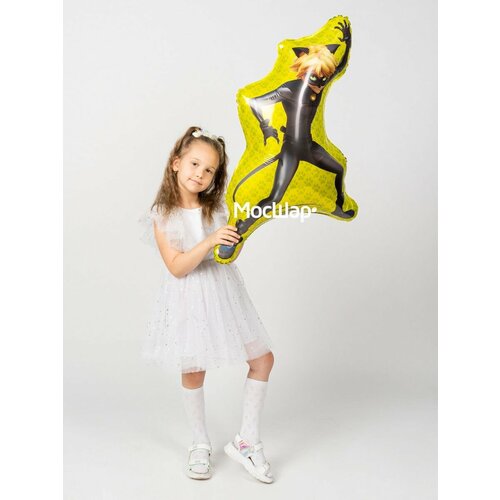 ������ ������ ��������� ��� �������������� ����� ���, ������� 89 ��, ������ ����