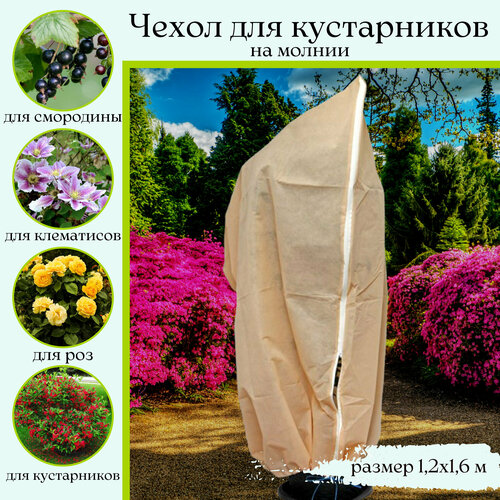 ������ ������ ����� ��� ��� � ������ �� ������ 