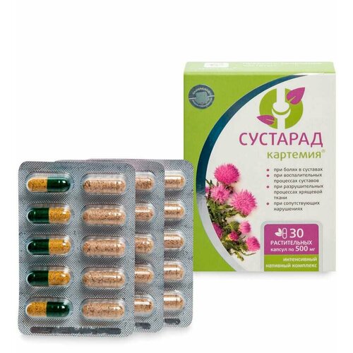 ������ ������ �������� �������� �������� �������� 30 ����. ����