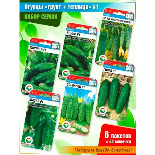 ������ ������ ����� ����� ������� #1 �� ���������� ���� (6 �����) ����