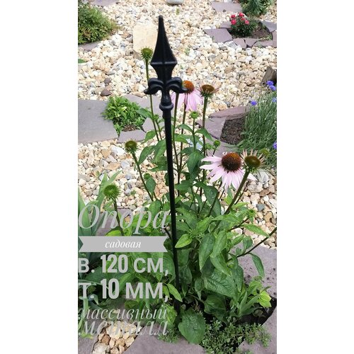 ������ ������ ����� ������� ��� �������� � ������, ��������, ������, �������, ������� 120 ��. ����