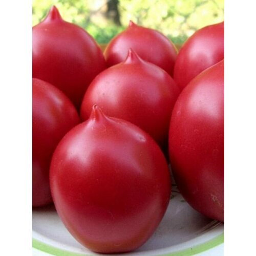 ������ ������ ������������� ������ ������ �� ����� ������� ����