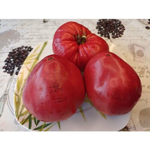 ������ ������ ������������� ������ ������ ������������ ������� ����