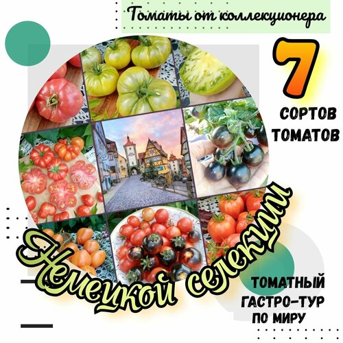 ������ ������ ������ �������, 7 ������ �������� ��������, �������� ������-��� �� ����. ����