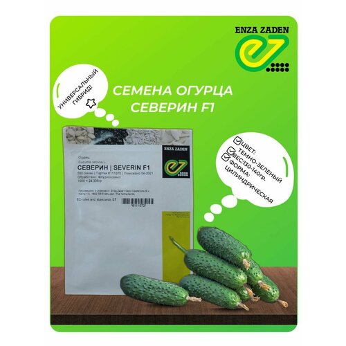 ������ ������ ������ ������ ������� F1 ����