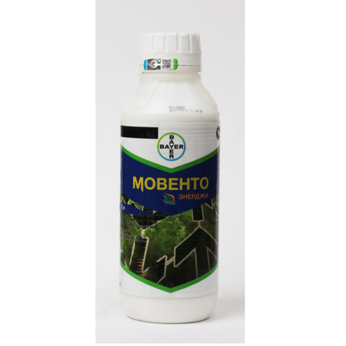 ������ ������ ������� �������, �� ���������� (100 ��) ����