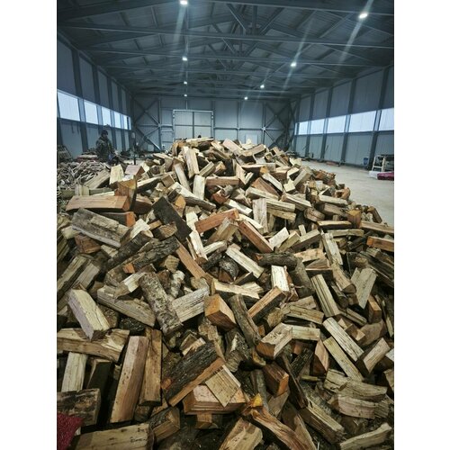 ������ ������ ����� ���� (���������� �����) ��� ����, �����, ������ - �����, 10 ��������� ����