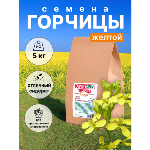 ������ ������ ������� ������ �������, 5 ��, ������ ������� ����� ����