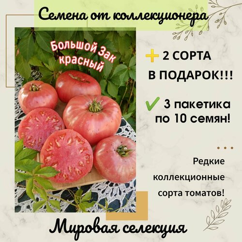 ������ ������ ����� ������� ��� �������, ������� ��������, ���-�����, ������������� ���� ����