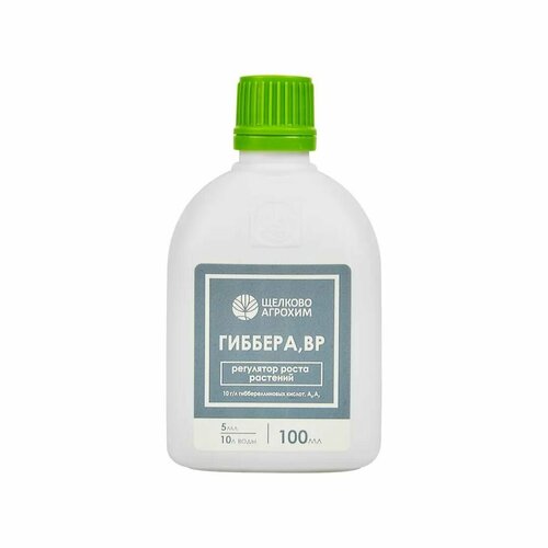 ������ ������ ��������� ����� �������� ������� 100 �� ����