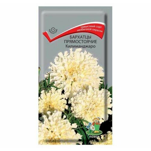 ������ ������ ������ �������� ������ ������������, 0.1 � (1 ��.) ����