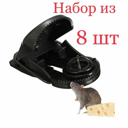 ������ ������ ��������� ����������� 