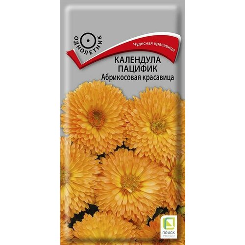 ������ ������ ��������� ������� ����������� ��������� 0,5 �����, ����� ����