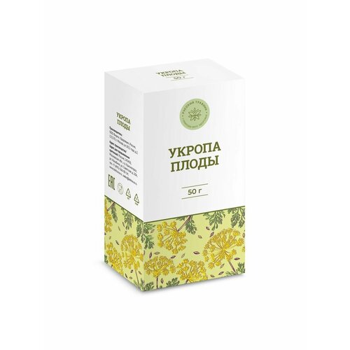 ������ ������ ����� ������ ��� ��������� ����������� ����