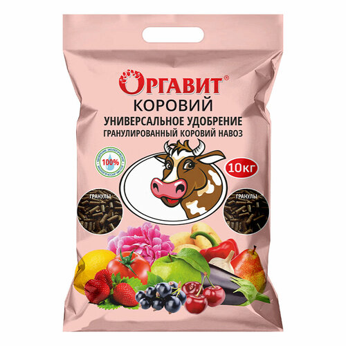 ������ ������ ��������� ������� ������� 10 �� ����