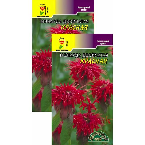 ������ ������ ������� ��������� ������� (0,01 �), 2 ������ ����