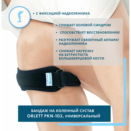 ������ ������ Orlett ������ �� �������� ������ PKN-103, ������ �������������, ������ ����