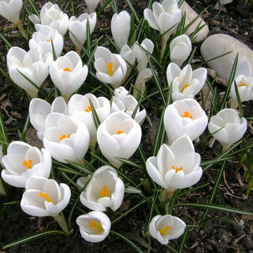 ������ ������ ������ ����� �