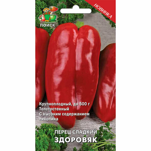 ������ ������ ������ ����� ������� 