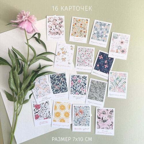 ������ ������ ����� �������� 7�10 ��, 16 �������� ����