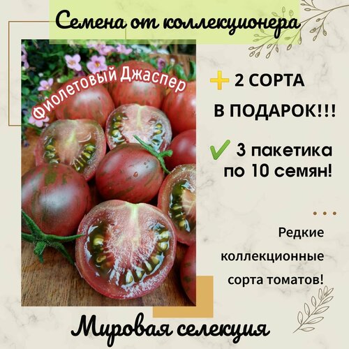 ������ ������ ����� ���������� �������, ���� ����� �� �����, ������������� ����