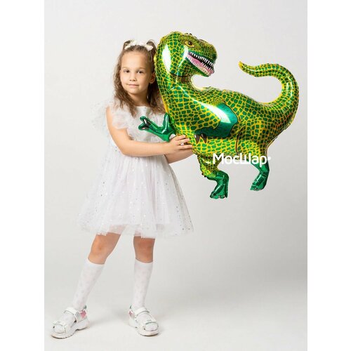 ������ ������ ��������� ��� �������������� ����������, ������� 84 ��, ������ ����