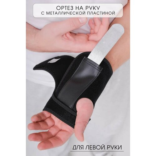 ������ ������ ����� �� ����� ���� / ������ �������������� ������� OrtoX ����