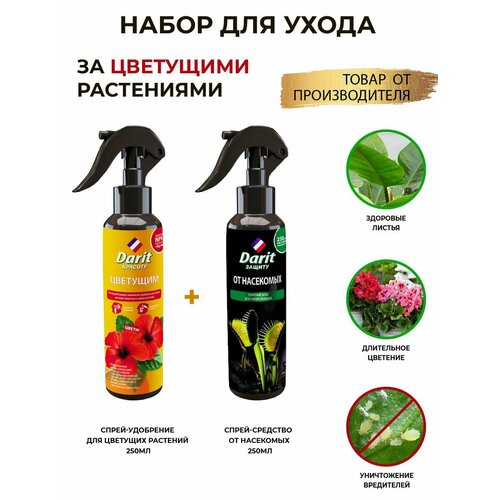 ������ ������ ����� ��������� ���� �� ��������� �������. � ���. ���������� ����