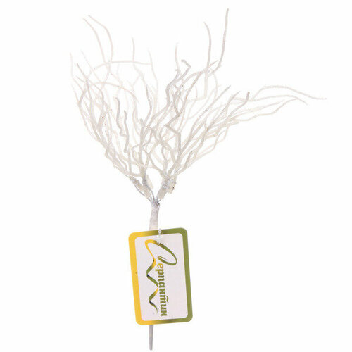 ������ ������ ����� ������������ ��������� 28 ��, ����� ����