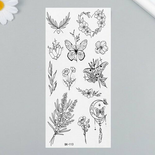 ������ ������ ���������� �� ���� ������ 