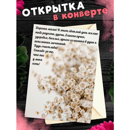 ������ ������ �������� �6 � �������� � ���� ��������, ����! ����