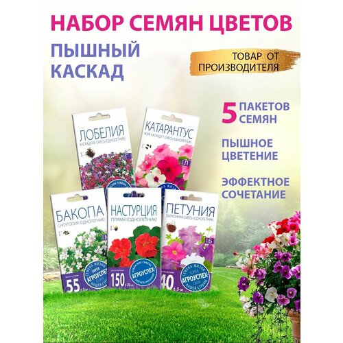 ������ ������ ������ ������ ����� 5 �� ����