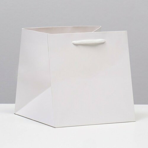 ������ ������ ����� ��� ����, �����, 20 � 20 � 20 �� 10 �� ����