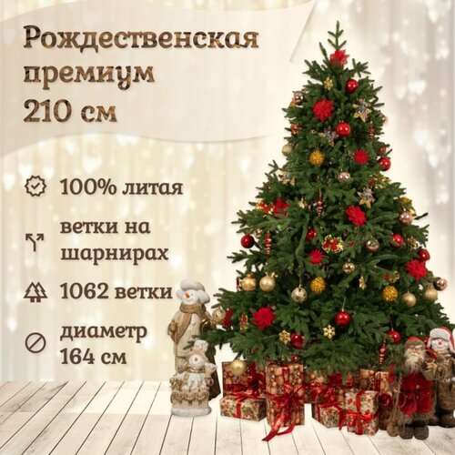 ������ ������ ��� ������������� �������������� ������� 210 �� ����