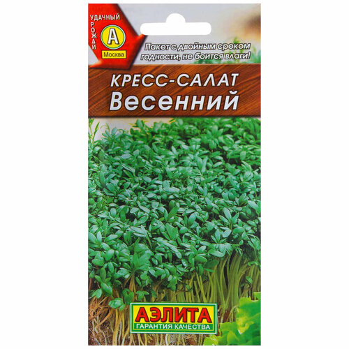 ������ ������ ������. �����-����� 