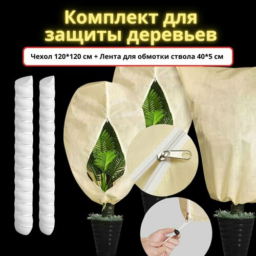 ������ ������ �������� ��� ������ �������� �� �������� ����