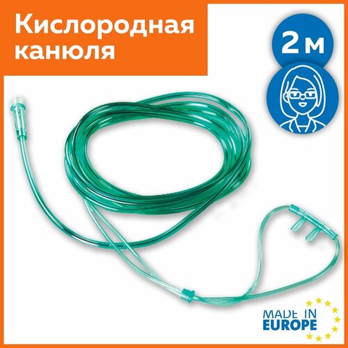 ������ ������ ����������� ������ (��������) ����� 2� ����