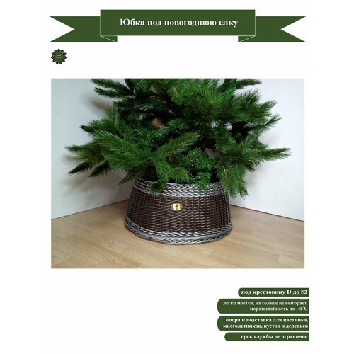 ������ ������ ���� ��� ���������� ���� �����/������� ����