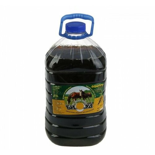 ������ ������ ������ ������� ����� 5� ����