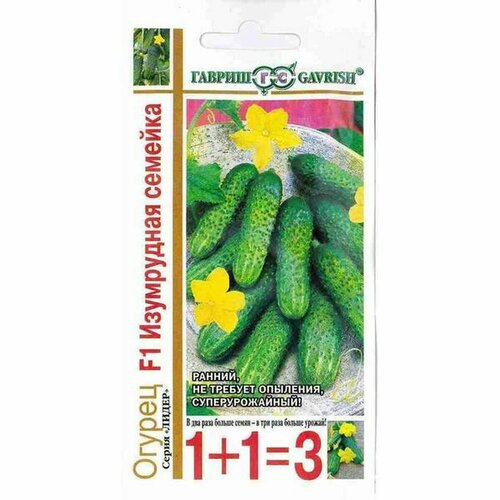 ������ ������ ������ ������ ���������� ������� F1 ����, �����������, (������) 20�� ���1+1 ����