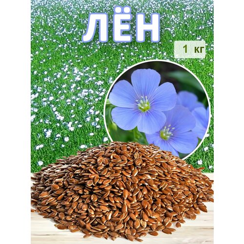 ������ ������ ������ ��� �������� ������� 1�� ����