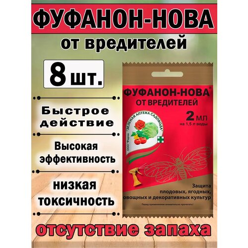 ������ ������ �������-���� ������ �� ��������� ���������� 2 �� ����