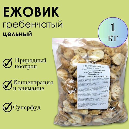 ������ ������ ���� ������ 